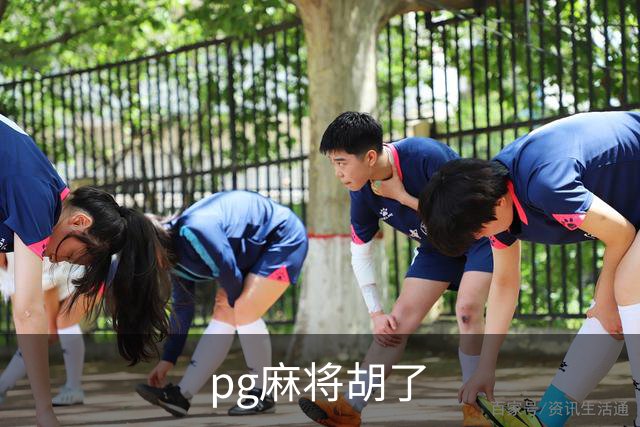 pg麻将胡了公司简介